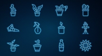 Set line Flower, Plant in pot on table, Spraying plant, Water spray bottle, Broken, Cactus peyote, Sprout and icon. Vector