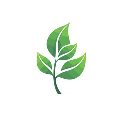 Green leaf ecology nature element vector icon. plan