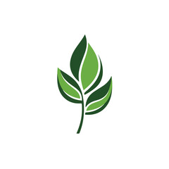 Green leaf ecology nature element vector icon. plan