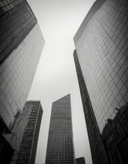 Black and white image of towering skyscrapers converging in the sky. The perspective from the ground up creates a feeling of awe and grandeur.