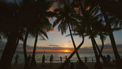 Sunset on beach with people and palms