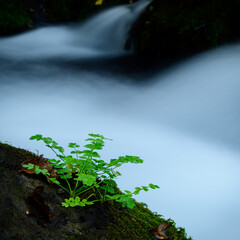 CASCADA EN EL RIO PALANCIA. BEJÍS. CASTELLÓN. COMUNIDAD VALENCIANA. ESPAÑA