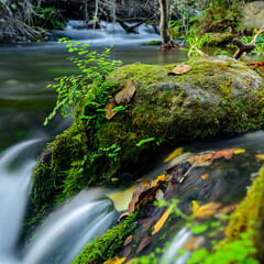 CASCADA EN EL RIO PALANCIA. BEJÍS. CASTELLÓN. COMUNIDAD VALENCIANA. ESPAÑA