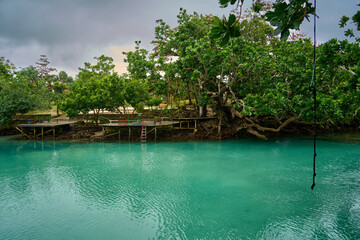 A guided trip to the turquoise waters of the Blue Lagoon with a water swing on Efate Island, Vanuatu