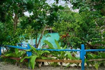A guided trip to the turquoise waters of the Blue Lagoon on Efate Island, Vanuatu