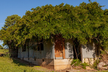 Abandoned overgrown house  in Albury, Wodonga, Australia