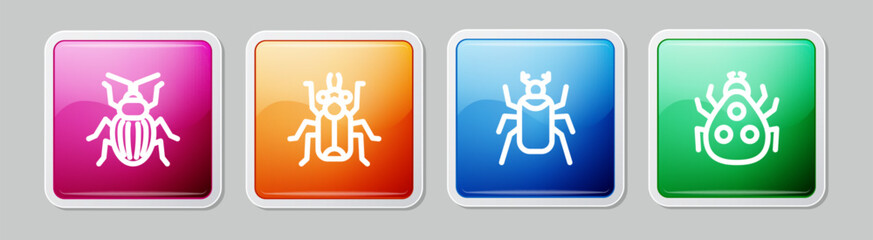 Set line Chafer beetle, Beetle bug, and Ladybug. Colorful square button. Vector