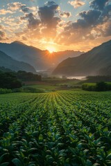 Dawn over a shared agricultural field embodying Regional Economic Cooperations growth and freshness. Minimal