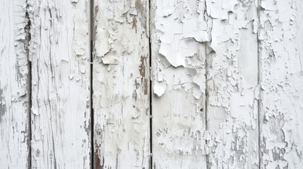 Capture of wooden boards covered with white peeling paint, highlighting the effect of time on surfaces