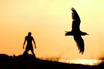 Fotobehang Silhouette of a seagull in flight in the forefront, with an out of focus silhouette of young man standing on a beach in the background, at sunset. The scene is colored orange. © Paul