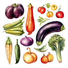 Watercolor vegetables clipart. The art of food. Bulgarian pepper, cabbage, onion, cauliflower, radish and pumpkin, carrots, tomato, chili, onion,celery and other vegetables