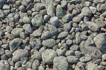 Closeup of stones on seashore.