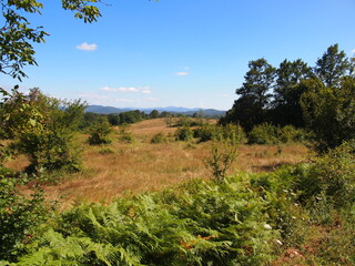 Strandzha Nature Park (Burgas Province, Republic of Bulgaria)