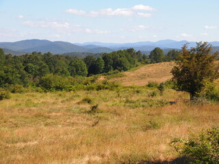 Obraz premium Strandzha Nature Park (Burgas Province, Republic of Bulgaria)