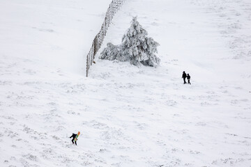 snowy landscapes of Puerto de Navacerrada in the Sierra de Guadarrama in Madrid in the month of March 2024