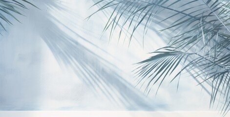 shadows of palm leaves on a white wall