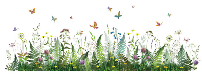 Colorful summer field with fern leaves, meadow herbs, flowers and butterflies.