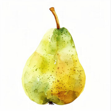 Watercolor illustration of a ripe green-yellow pear with textured details on a clean white background, suitable for culinary themes and artistic design elements