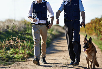Policeman, dog and walk in field for search in crime scene or robbery for evidence, safety and law...