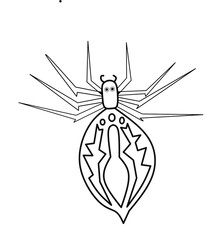 Simple illustration of colorless spider on white background, isolated spider