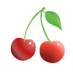 Vector illustration of cherry fruit with stem and leaves on white background, suitable for icons, decorations, stickers etc