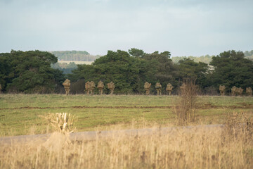 a unit of British army soldiers on a 40kg loaded march tab military exercise, Wiltshire UK