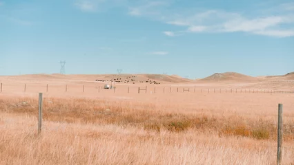 Deurstickers Wyoming Landscape © jogan