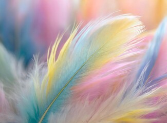 Pastel colour feather abstract background