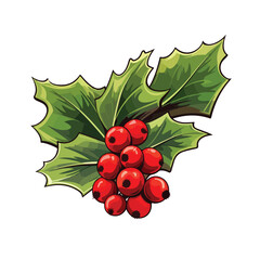 Ornate holly berry on a white background. Digital i