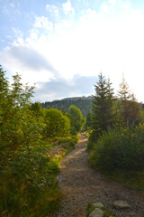 Fototapeta na wymiar Nationalpark Bayerischerwald, Sommerwanderweg Richtung Himmelleiter, Lusengipfel