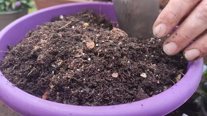 mix the soil ground and prepare for planting close up view