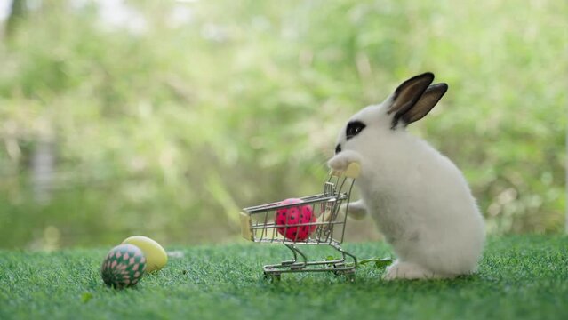 Happy cute little rabbit stands pushing a shopping cart with colorful easter eggs on the green grass with a natural background during springtime. Beautiful small bunny keeping easter eggs in the cart.