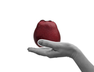 Halftone collage hand of person with red apple on a transparent background. Contemporary banner and poster