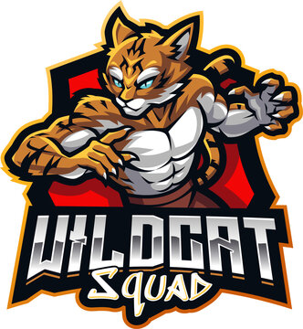 Wildcat squad mascot