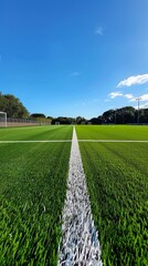 Biomass energy used for maintaining pitch conditions