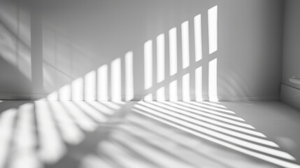 Obraz premium Branch with Leaves Casting Shadows on White Wall