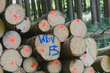 Holz aus  Bayern, Holzlagerung am Rande eines Forstweges