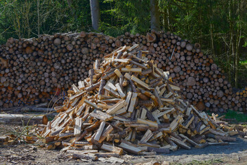 Brennholz, gespaltenes  Holz vor einem Holzpolter am  Waldrand