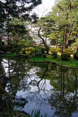 A Serene Embrace: Kyoto’s Heian Shrine Garden Splendor
