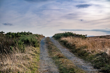 The bog road to the Loughderryduff windfarm is producing between Ardara and Portnoo