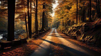 Autumn road in yellow leaves in a bright morning forest. The theme is the change of seasons.