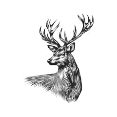 deer vector art design illustration