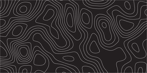 Black and white abstract background Abstracts Topographic map and white lines, contour background, Vector contour topographic map background. Topography Animation Motion. Slowly moving colorful lines.