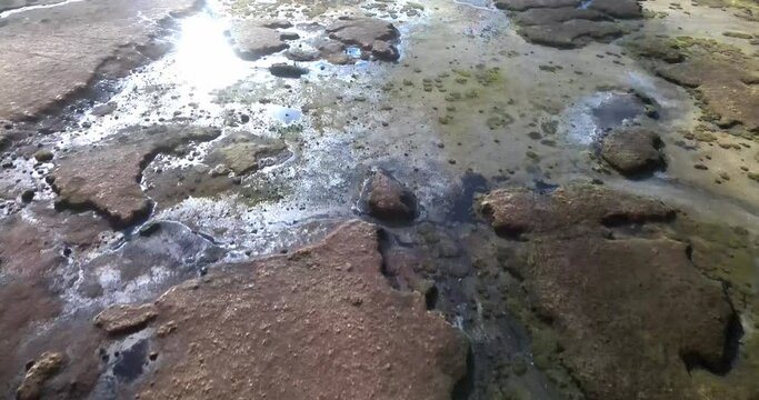 pattern of tundra surface