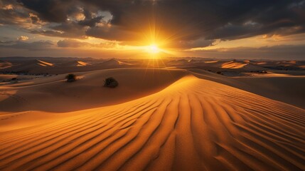 Sand dunes in the Liwa Desert, bathed in the warm light of the rising sun