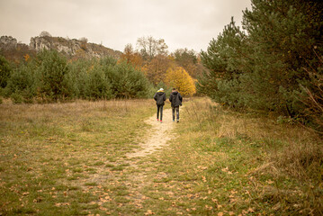 Fototapeta na wymiar Two people walking in a field with trees in the background