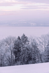 Hoarfrost by Lake Mjosa in January.