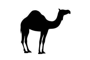 Camel illustration design, silhouette camel with black colour
