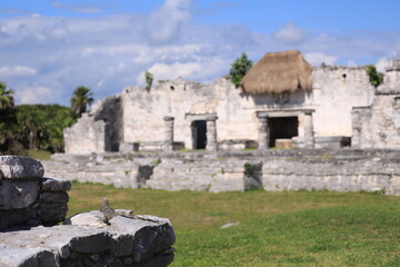 tulum, ruins, mexico