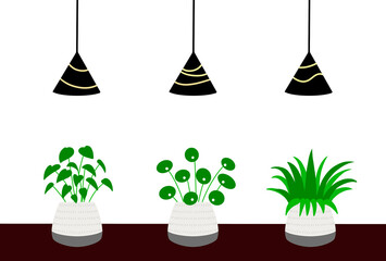 ペンダントライトと観葉植物